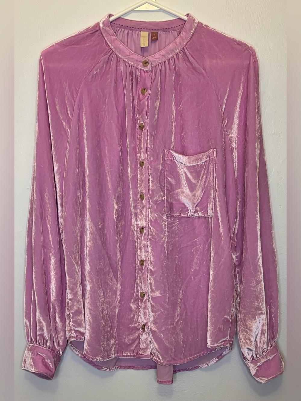 Pilcro Anthropologie Mara Velvet Button Down Shirt M Boho Coquette Luxe